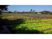 VENDO AMPLIO TERRENO EN TOLEDO CAÑADA