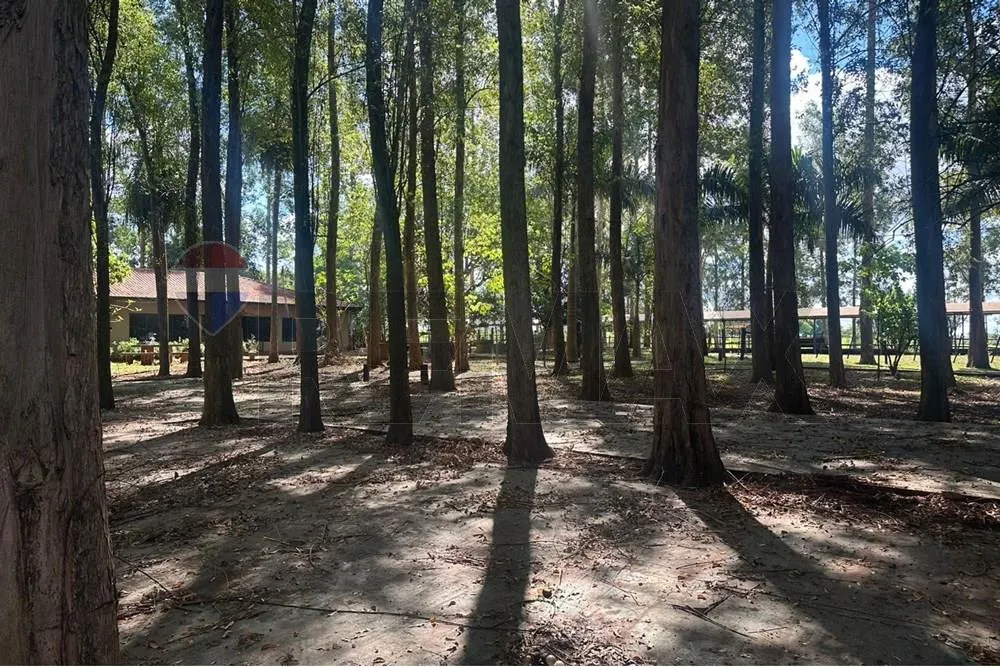 VENDO ESTANCIA CON ANIMALES Y MAQUINAS EN TAVAPY — foto 3