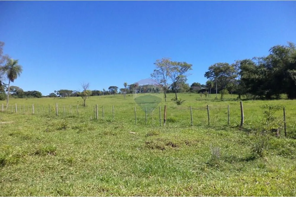 VENDO ESTANCIA FORMADA EN ISLA PUCU CORDILLERA — foto 2