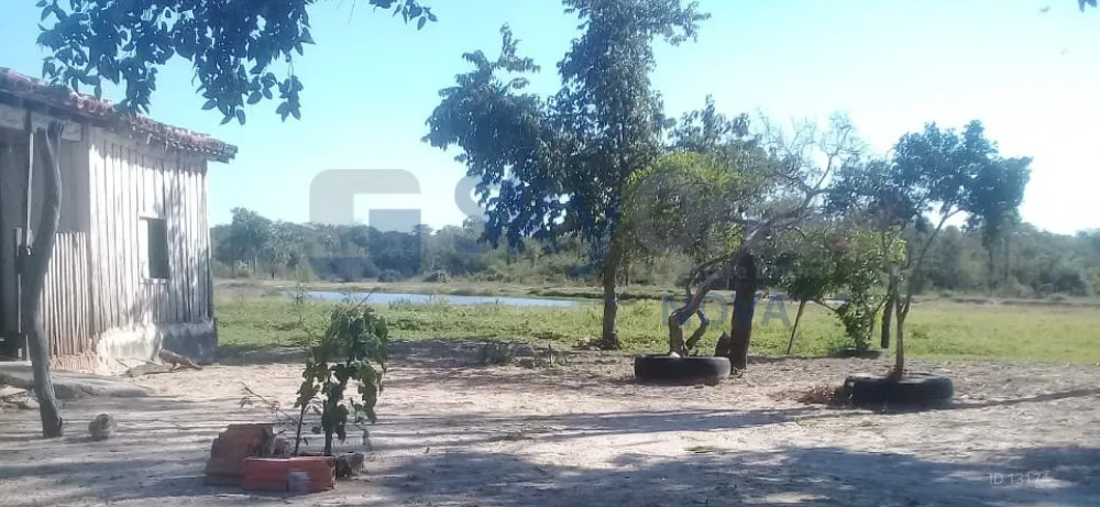 Venta Propiedad de 79,789 Hectáreas en Concepción - LORETO — foto 3