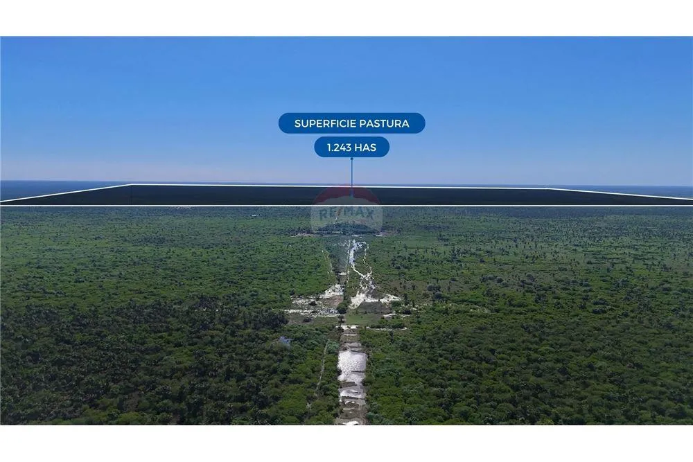 EstanciaCampo - Venta Paraguay — foto 2
