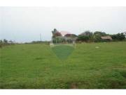 VENTA CAMPO EN JUAN DE MENA