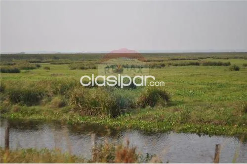 VENTA CAMPO EN JUAN DE MENA — foto 2