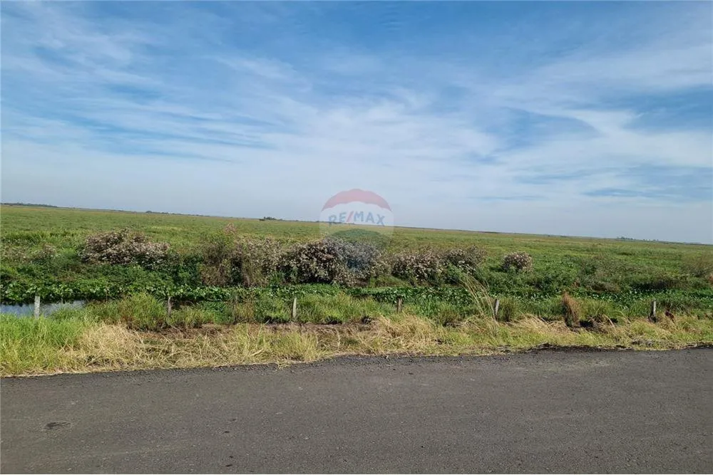 VENTA CAMPO EN JUAN DE MENA — foto 3