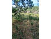 Vendo Terreno con Arroyo en Caacupé