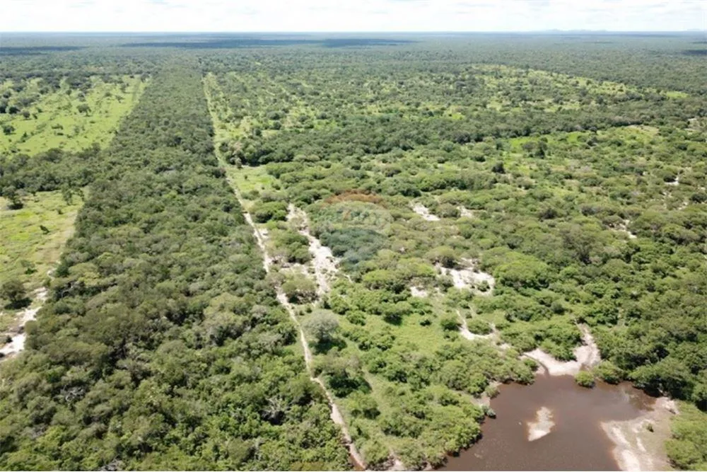 🌾 ESTANCIA GANADERA EN VENTA – PUERTO PINASCO, CHACO — foto 3