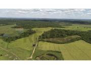 🌿 GRAN OPORTUNIDAD DE INVERSIÓN GANADERA – CAAZAPÁ