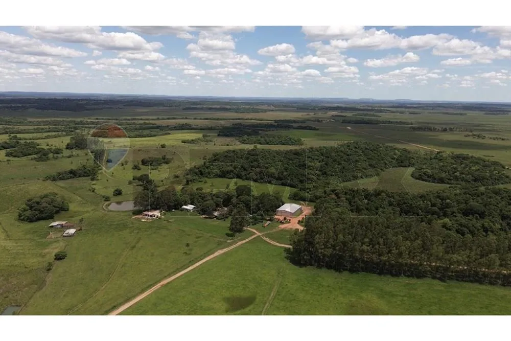 🌿 GRAN OPORTUNIDAD DE INVERSIÓN GANADERA – CAAZAPÁ — foto 2