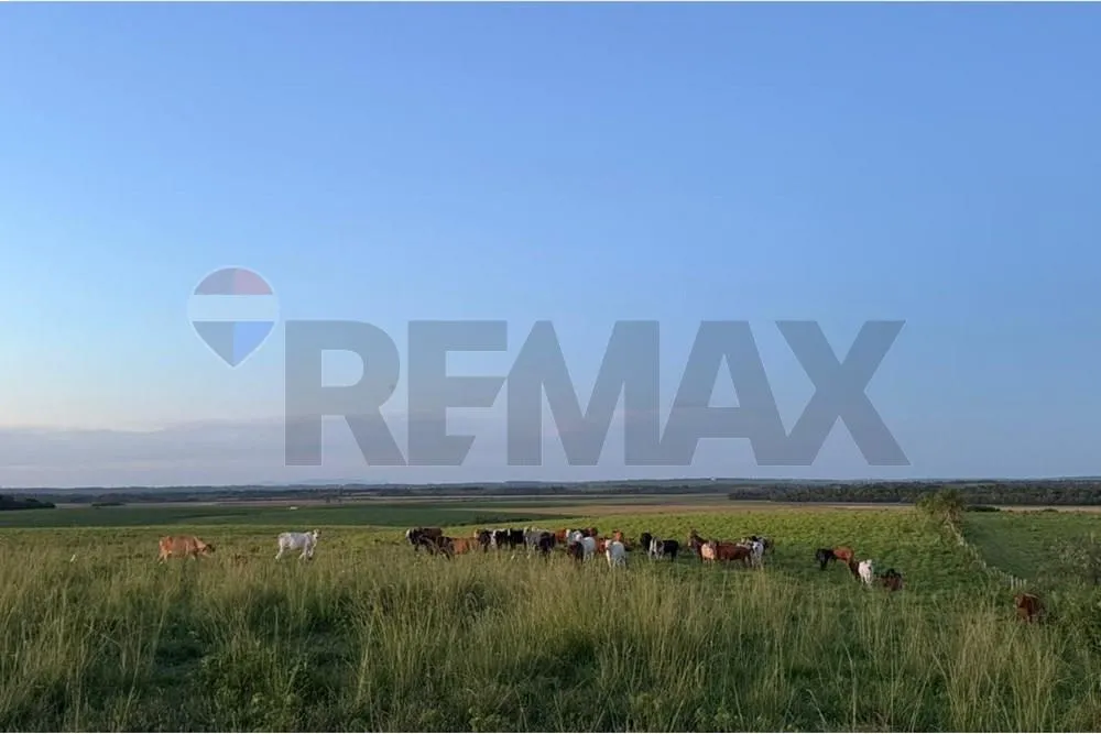 🌿 GRAN OPORTUNIDAD DE INVERSIÓN GANADERA – CAAZAPÁ — foto 3