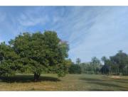 VENDO 10 HECTAREAS EN NUEVA COLOMBIA COMPAÑIA BOQUERON TRES REYES ALTO POTENCIAL