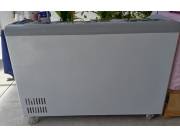 Freezer Congelador 310L Prae Nuevo | Cámara Fría con Vitrina | 3 Meses de Compra