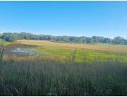 Oferta de 4 ha.en Nueva Colombia