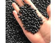Venta Feijao Poroto Negro