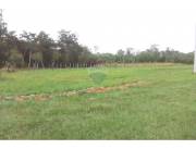 Terreno - Venta - Caacupé, Paraguay