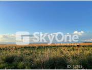 VENDO ESTANCIA EN MISIONES