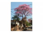 Terreno - Venta - Ciudad Nueva, Paraguay