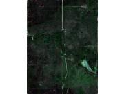 Vendo 2687has con 2228has de pastura a costa del Rio Montelindo