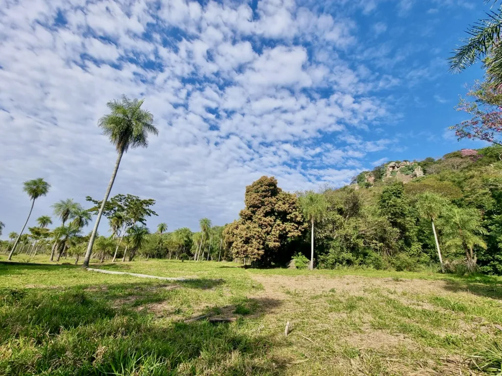 Terreno Rural en Caacupe - 8 Ha. — foto 2