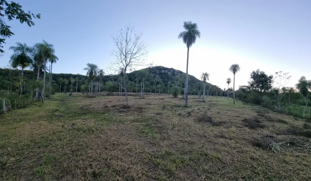 Terreno Rural en Caacupe - 8 Ha. — foto 3