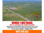 VENDO 1 HECTÁREA EN JOSÉ FALCÓN - CHACOI
