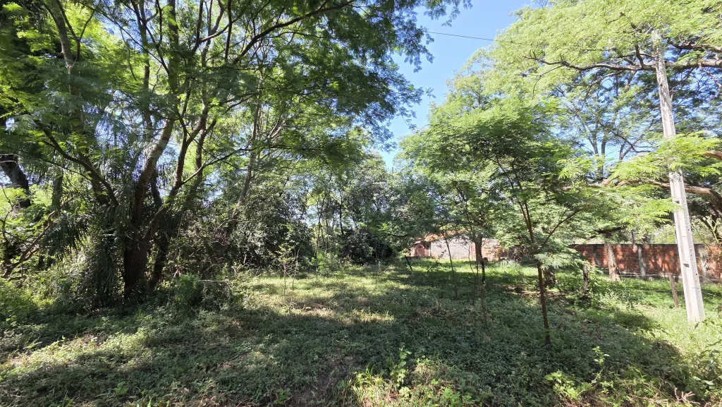 VENDO TERRENO EN OFERTA MARIANO ROQUE ALONSO — foto 2