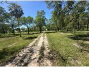 VENDO 10 HECTAREAS EN CHACO-I