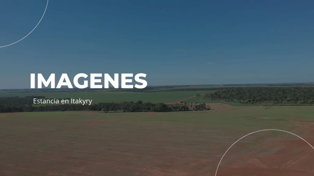 Vendo Amplia Estancia de 3.528 Hectáreas en Itakyry, Alto Paraná - CLCS7666740 — foto 2