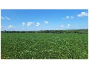 ALTO PARANÁ, IRUÑA: 1000 HAS, TIERRA COLORADA, MECANIZADA P/ AGRICULTURA, INFRAESTRUCTURA.