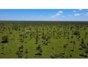 VENTA DE EXCEPCIONAL PROPIEDAD RURAL – 6.709 HECTÁREAS – FORTÍN CABALLERO, PRESIDENTE HAYE