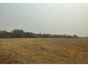 Vendo Campo de 1.223 has en Santa Rita, Alto Paraná-CLCS5176043