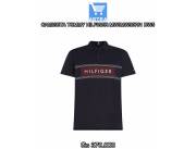 CAMISETA TOMMY HILFIGER MW0MW30781 DW5
