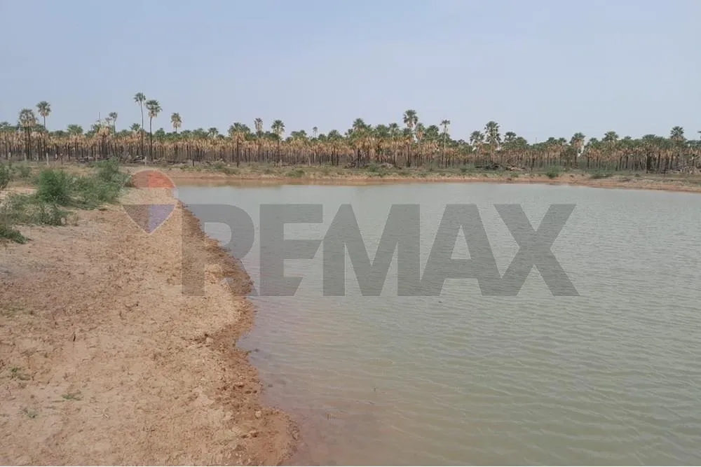 VENDO ESTANCIA FORMADA EN FORTIN CABALLERO PRESIDENTE HAYES — foto 3