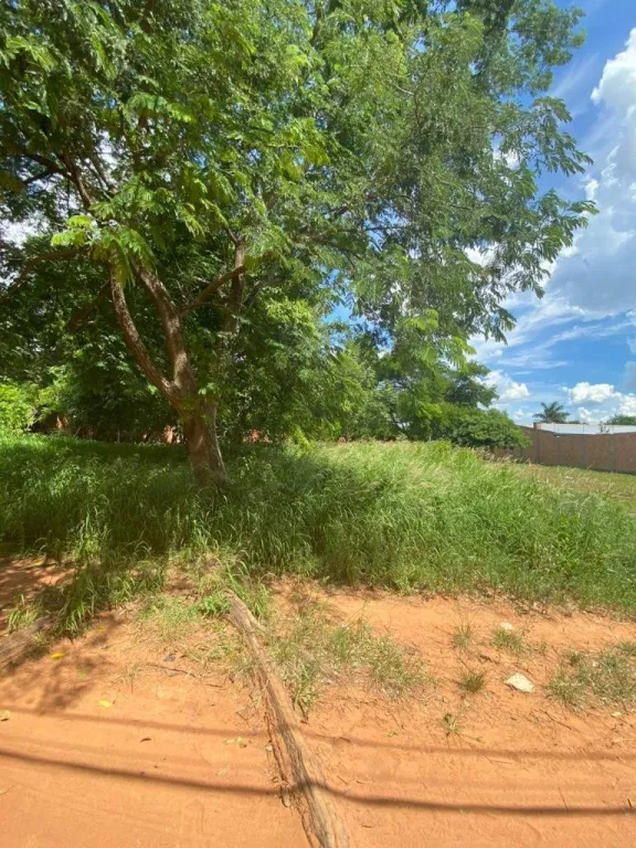 VENDO TERRENO A CUADRAS DE LA AV. SAN ANONIO — foto 2