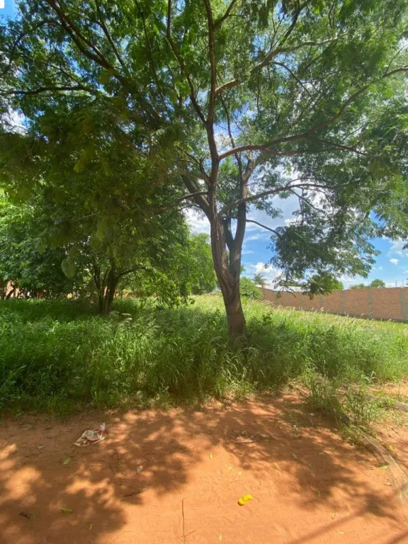 VENDO TERRENO A CUADRAS DE LA AV. SAN ANONIO — foto 3