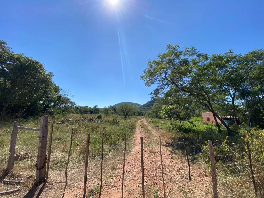 VENDO 20 HECTAREAS EN PIRAYU — foto 2