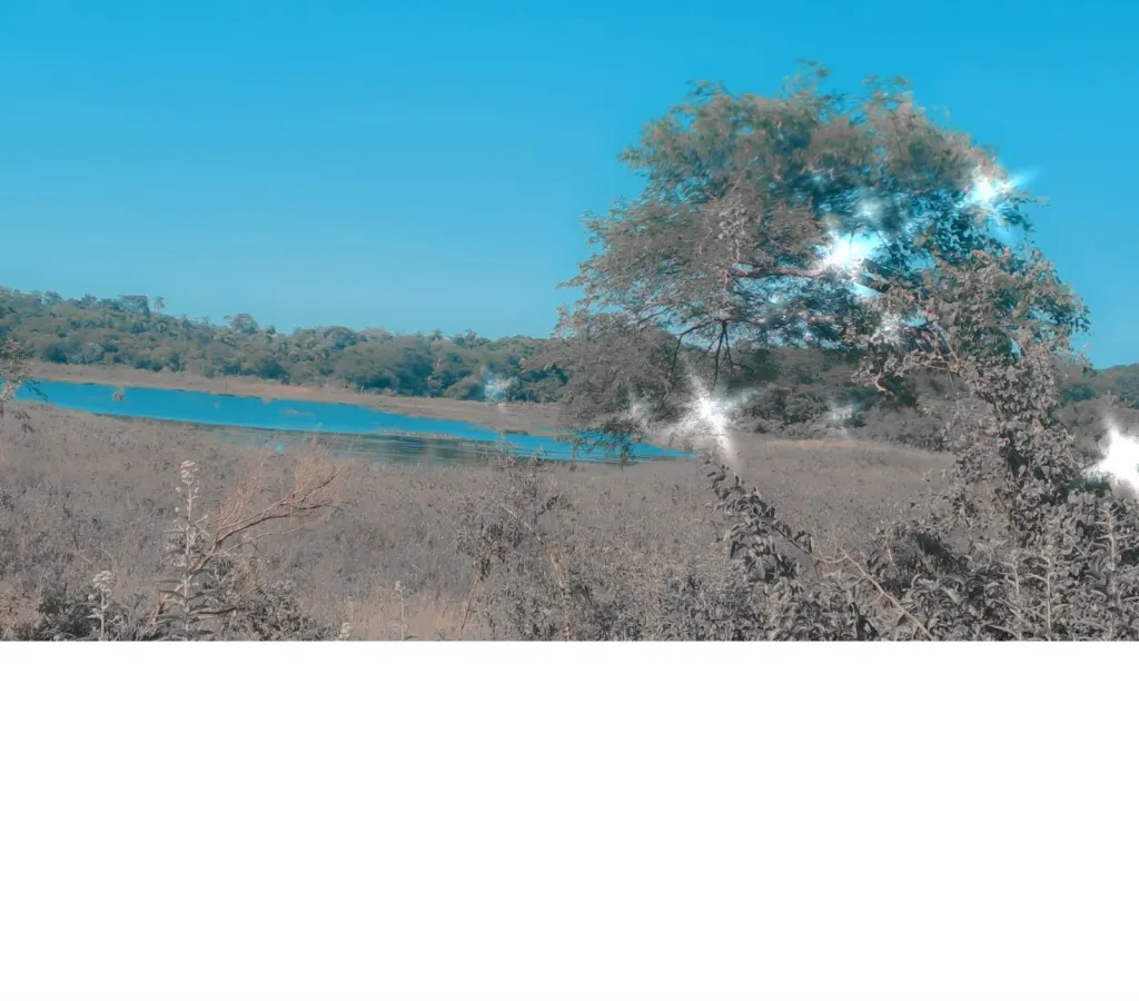 Vendo HERMOSA propiedad con LAGUNA NATURAL a solo 40 km de Asuncion — foto 2