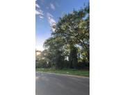 VENDO TERRENO DE 3.784 M2 EN SAN BERNARDINO SOBRE ASFALTO RUTA AL ANFITEATRO