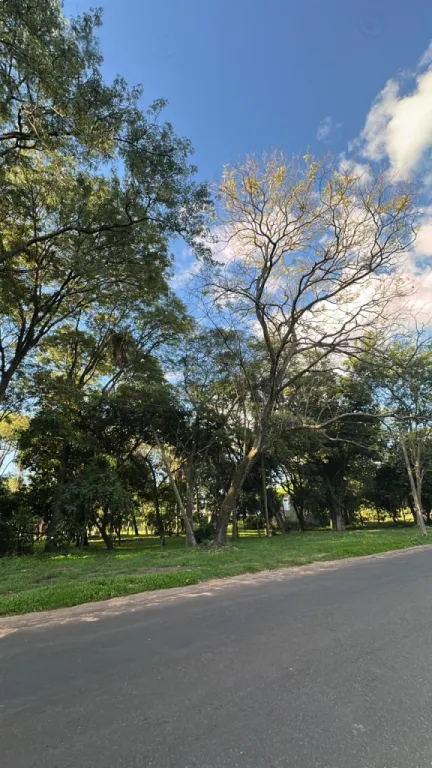 VENDO TERRENO DE 3.784 M2 EN SAN BERNARDINO SOBRE ASFALTO RUTA AL ANFITEATRO — foto 2