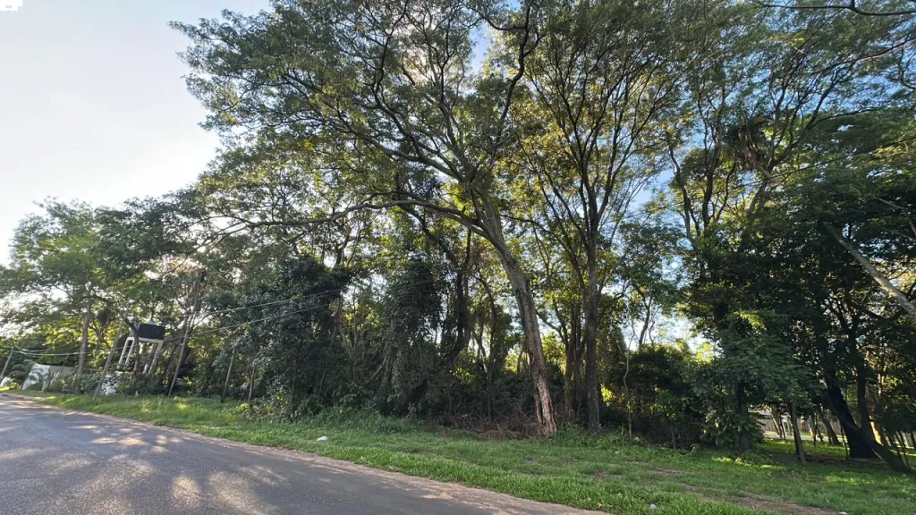 VENDO TERRENO DE 3.784 M2 EN SAN BERNARDINO SOBRE ASFALTO RUTA AL ANFITEATRO — foto 3