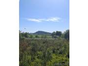 Hermoso Terreno en Venta – 4,36 Hectáreas – La Colmena, Paraguay