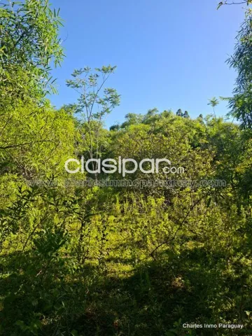 Hermoso Terreno en Venta – 4,36 Hectáreas – La Colmena, Paraguay — foto 3