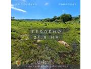 Terreno en Venta – 21,8 ha – La Colmena, Paraguay