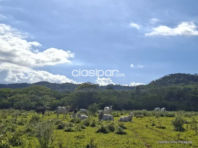 Terreno en Venta – 21,8 ha – La Colmena, Paraguay — foto 2