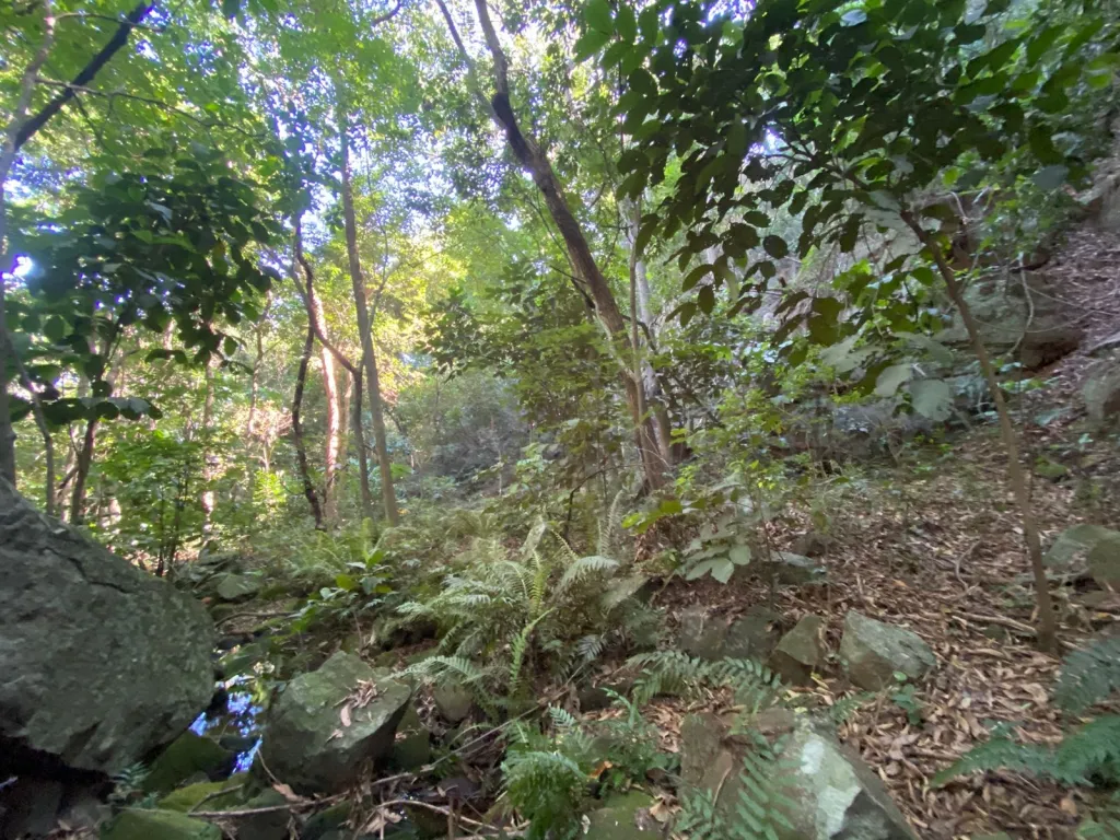 Propiedad en Venta en Piraju – A solo 50 km de Asunción 🌿 — foto 2