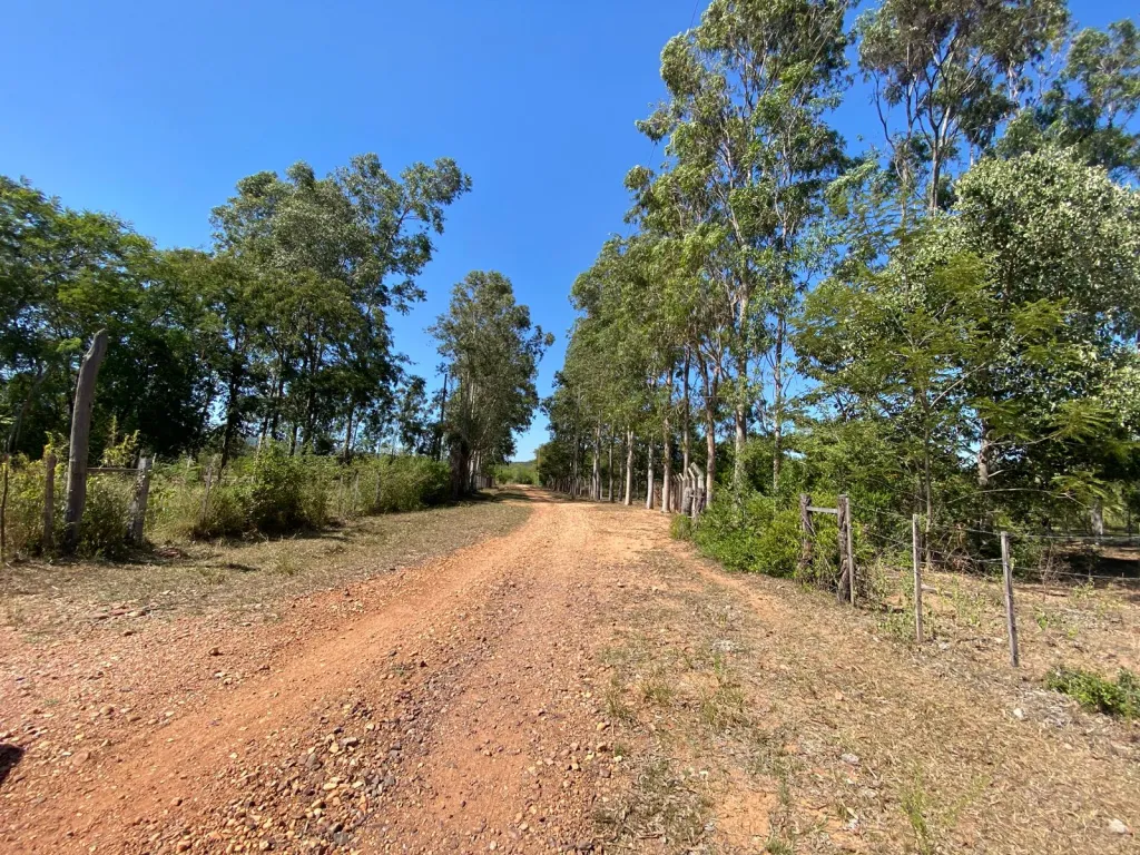 Propiedad en Venta en Piraju – A solo 50 km de Asunción 🌿 — foto 3