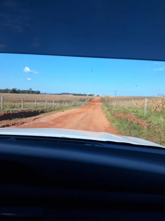 CANINDEYÚ P SOJA: 1200 HAS IDEALES P EXPLOTACIÓN RECORD, 9.000 USDHA. — foto 2