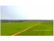 SANTA RITA MARANGATÚ: 6.500 HAS MECANIZADAS, ALTAMENTE SOJERAS, PRODUCCIÓN RECORD.