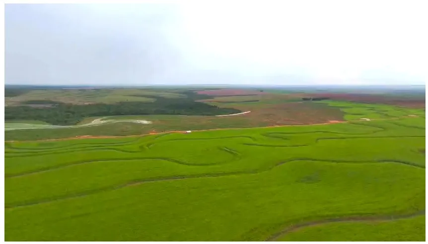 SANTA RITA MARANGATÚ: 6.500 HAS MECANIZADAS, ALTAMENTE SOJERAS, PRODUCCIÓN RECORD. — foto 3