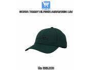 GORRA TOMMY HILFIGER AM0AM12034 LGJ