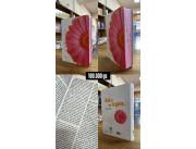 Biblias reina valera 1960